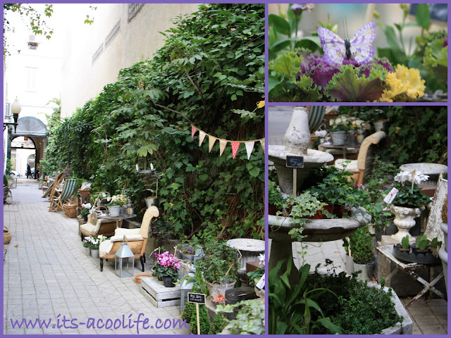 It´s a cool life!!: noviembre 2011
