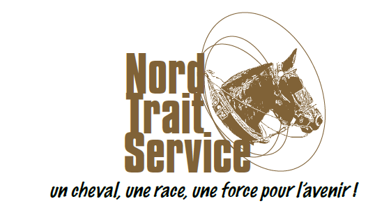 Nord Trait Service: un cheval, une race, une force pour l'avenir