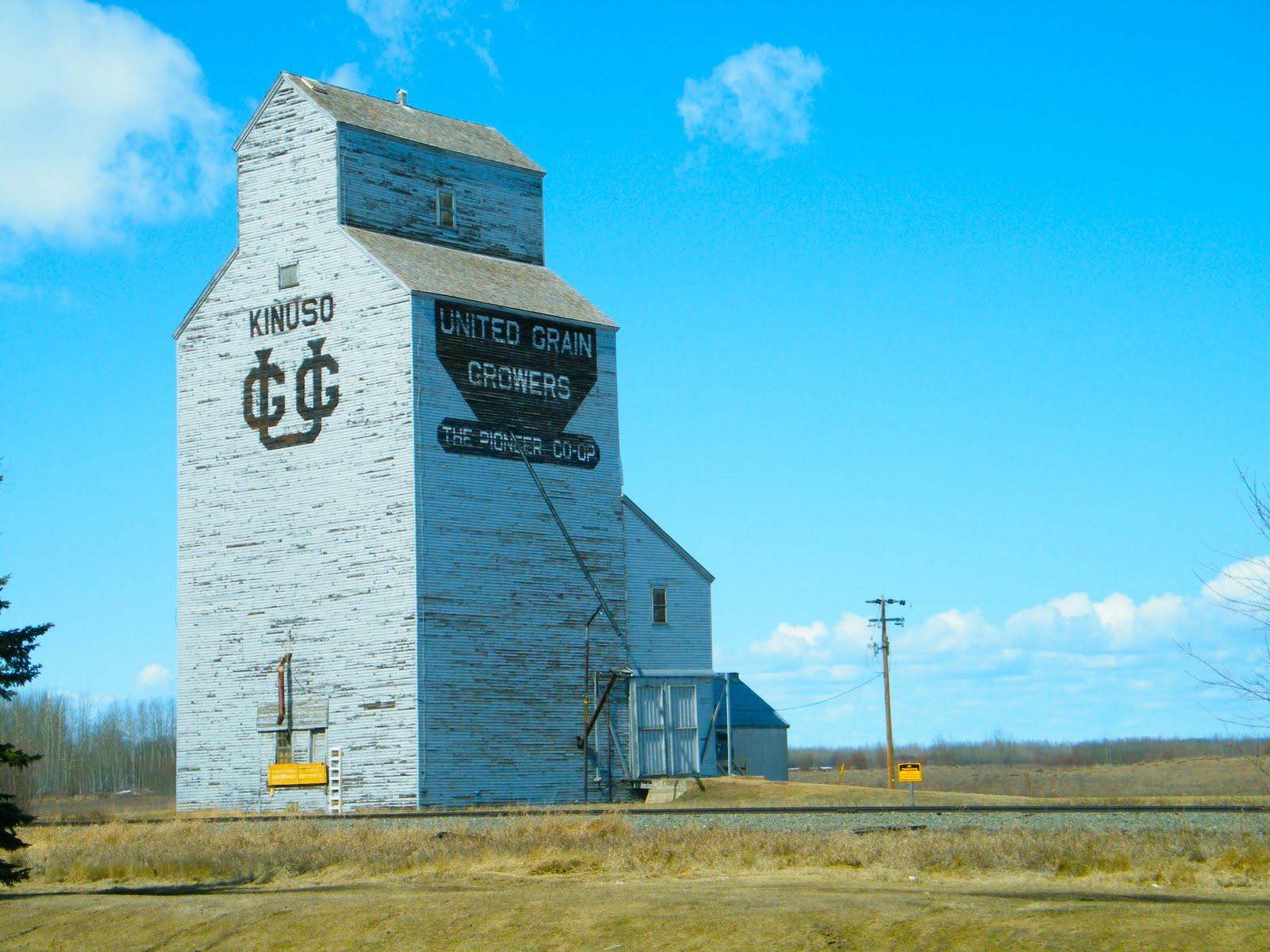 READmonton Kinuso On Location