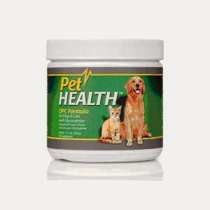 Anti Inflammatory For Dogs