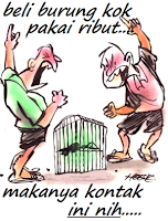 DUNIA BURUNG: Jenis Jenis Burung Murai Batu Yang Bagus
