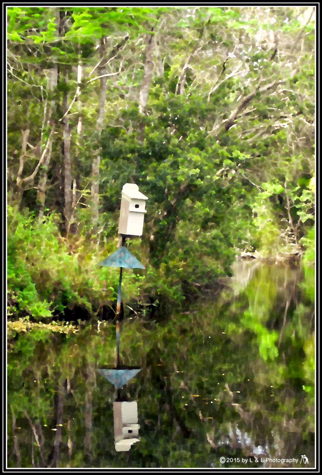 Ocala, Central Florida & Beyond Birdhouse in water color