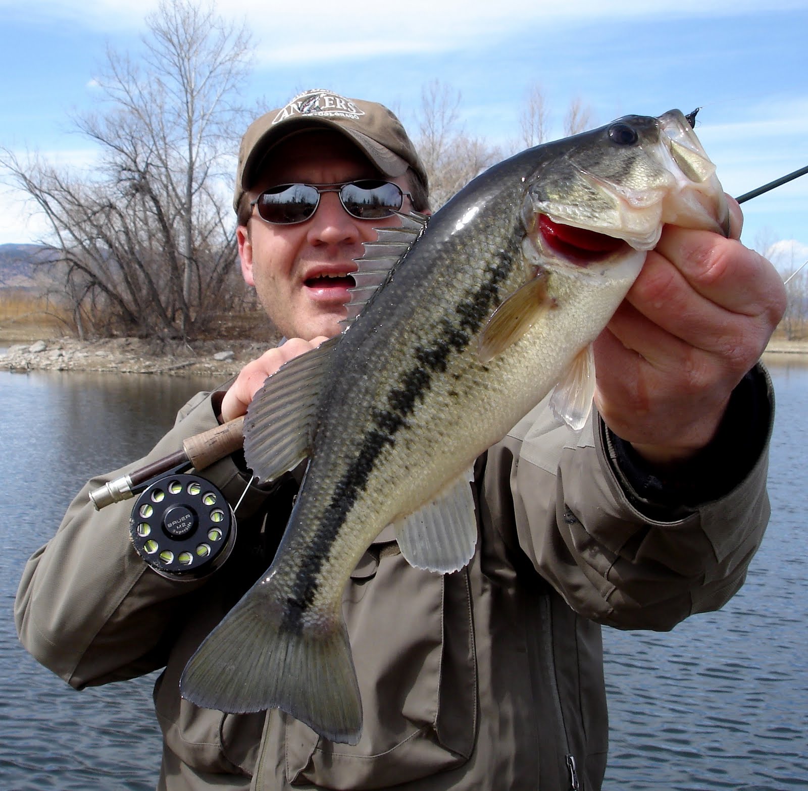 Colorado Fly Fishing Reports Fly Fishing For Bass (Directory)