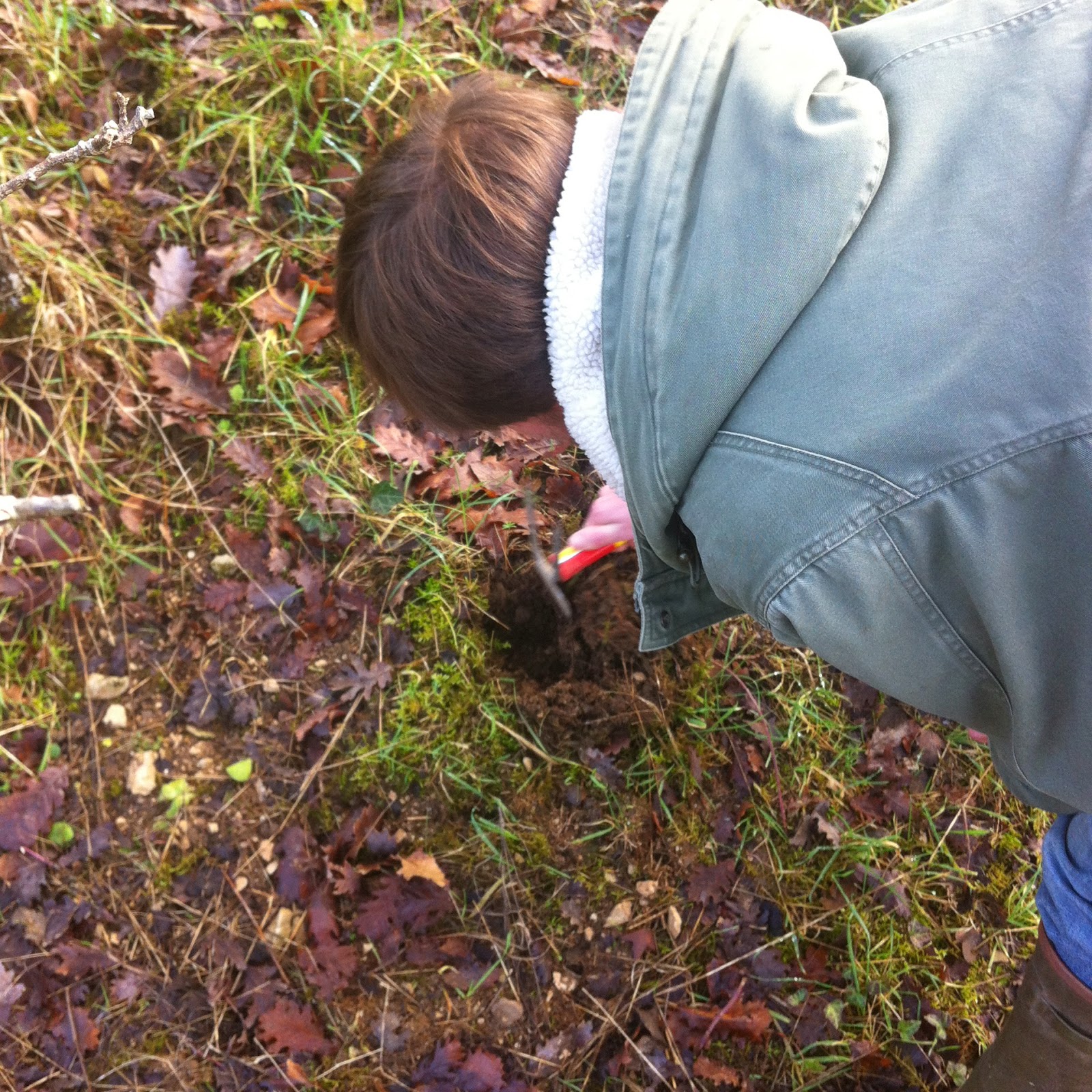 spiritueux magazine [ Spiritueux Magazine ] Comment trouver des Truffes à la mouche ? Sans