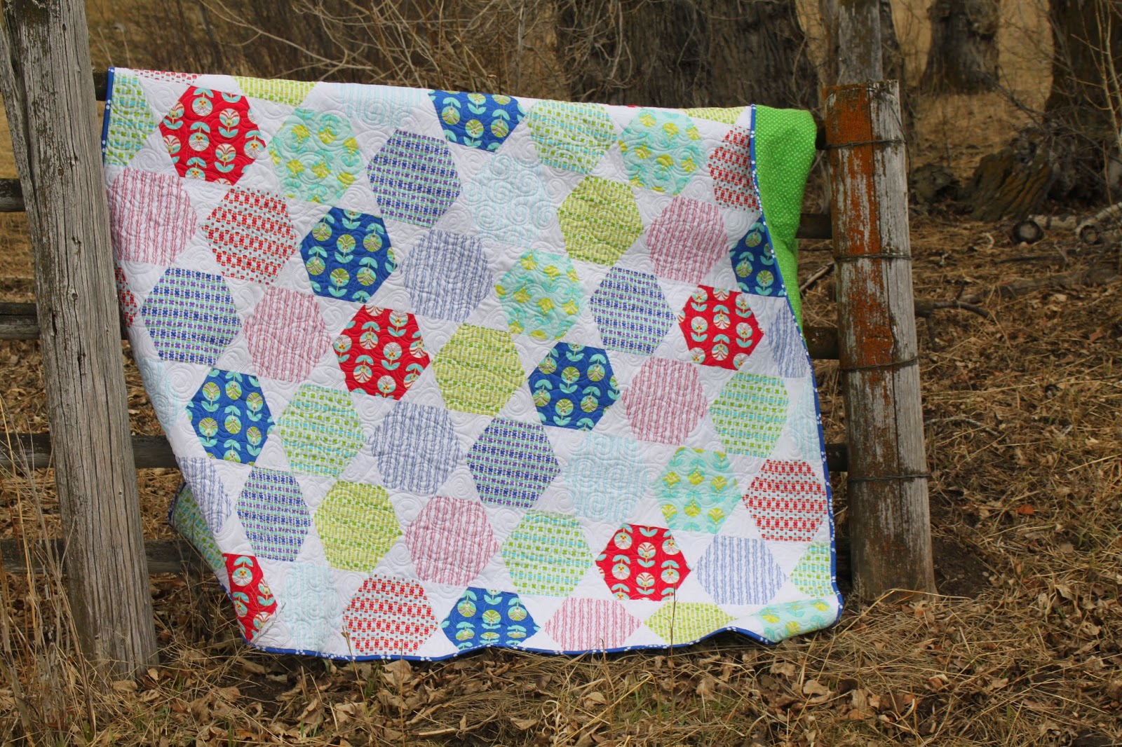 Stitch by Stitch Hexagon Quilt....