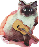 Katze mit Gitarre