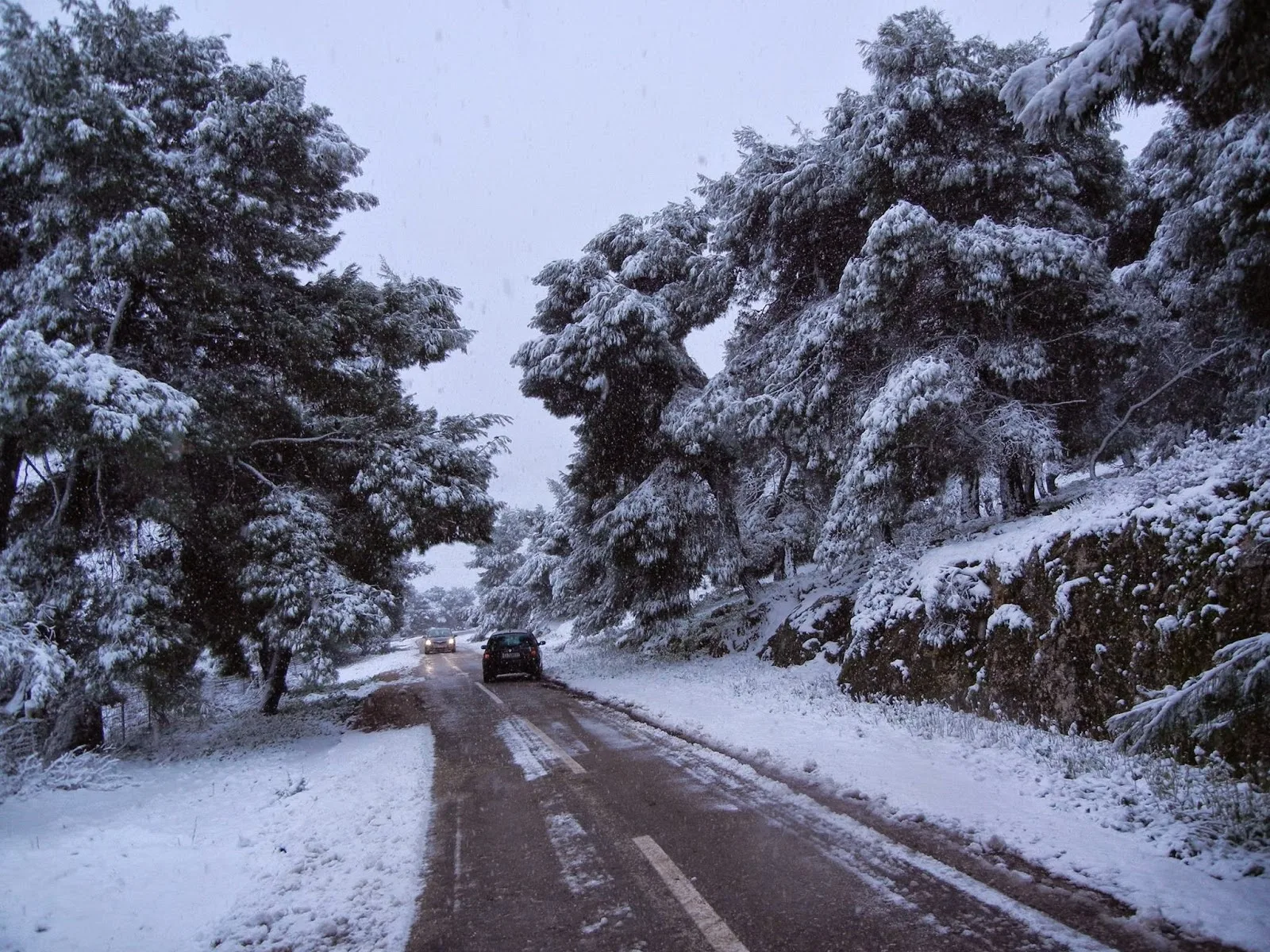 Εύβοια: Προβλήματα σε αρκετές περιοχές λόγω ισχυρής χιονόπτωσης!