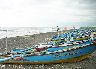 pantai trisik