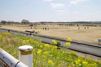 ラグビーの練習をする若者たち ラグビーの練習をする若者たち