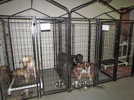 Our Kennel