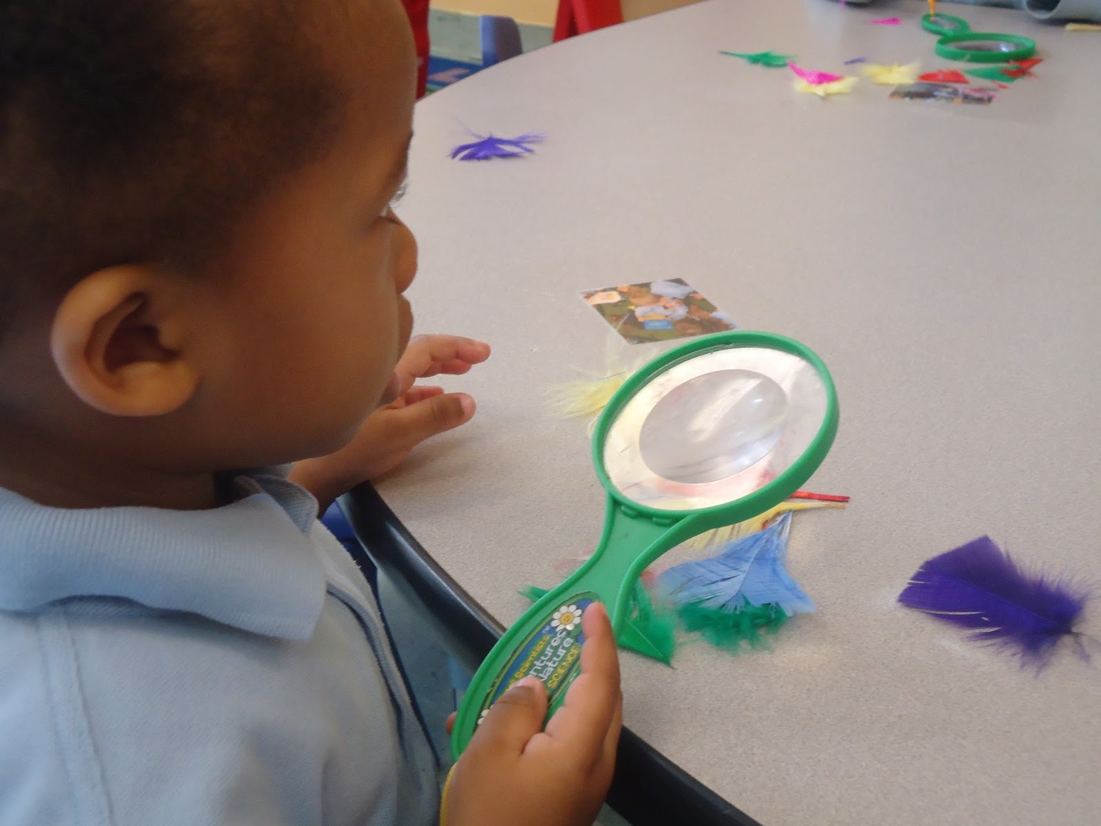 to the HH Toddler Classroom! Exploring Feathers with a