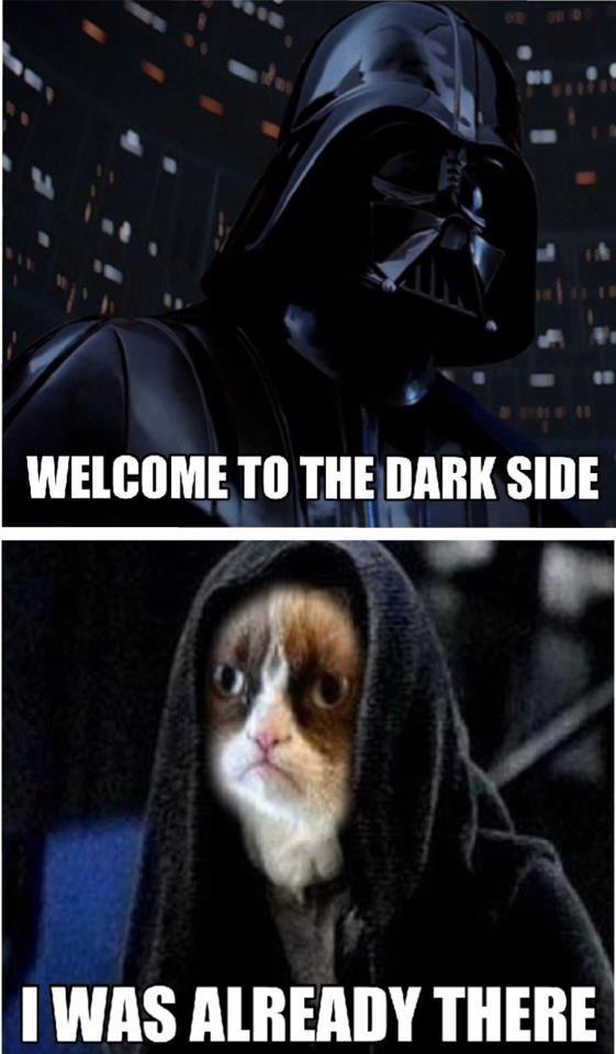 grumpy-cat-part1-1-08-092020192.png