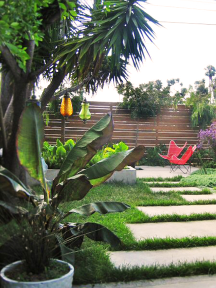 El muro vegetal: UN CLÁSICO IDEAL PARA EL JARDÍN