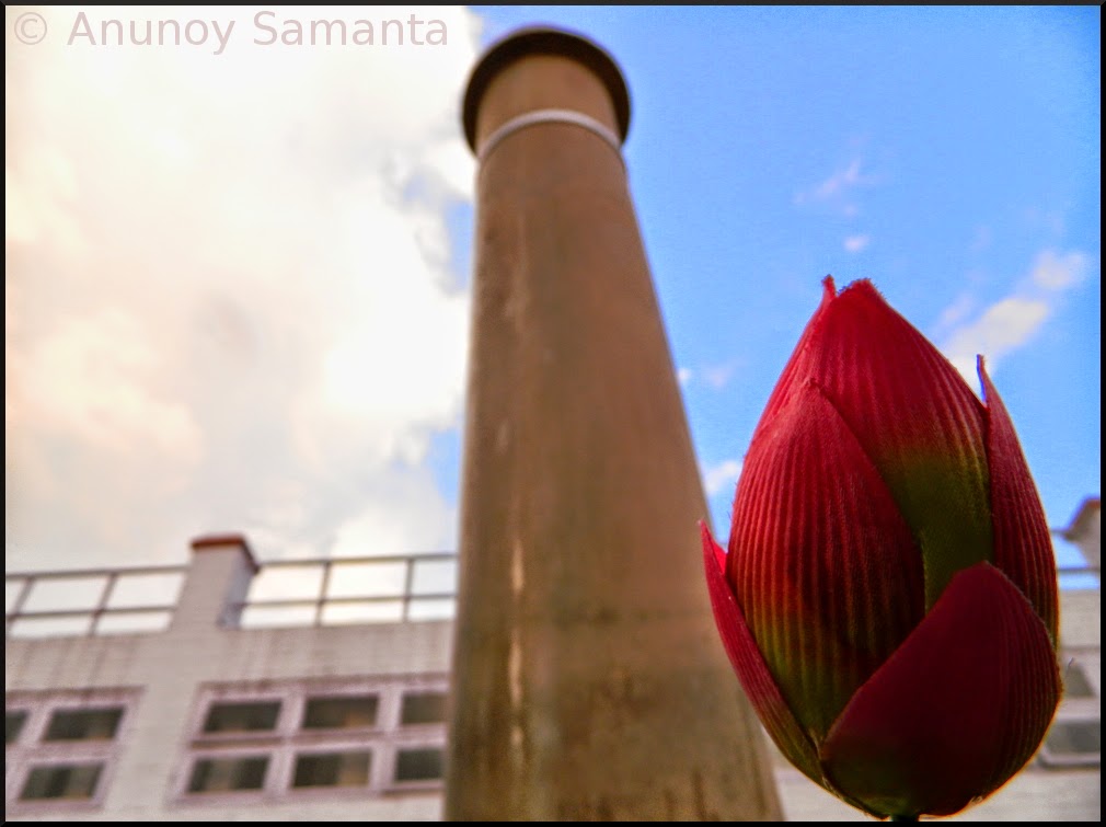 Essence of Lumbini