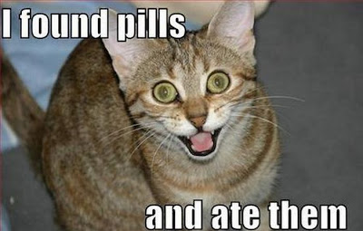 Hilarious LOLcats Seen On www.coolpicturegallery.us