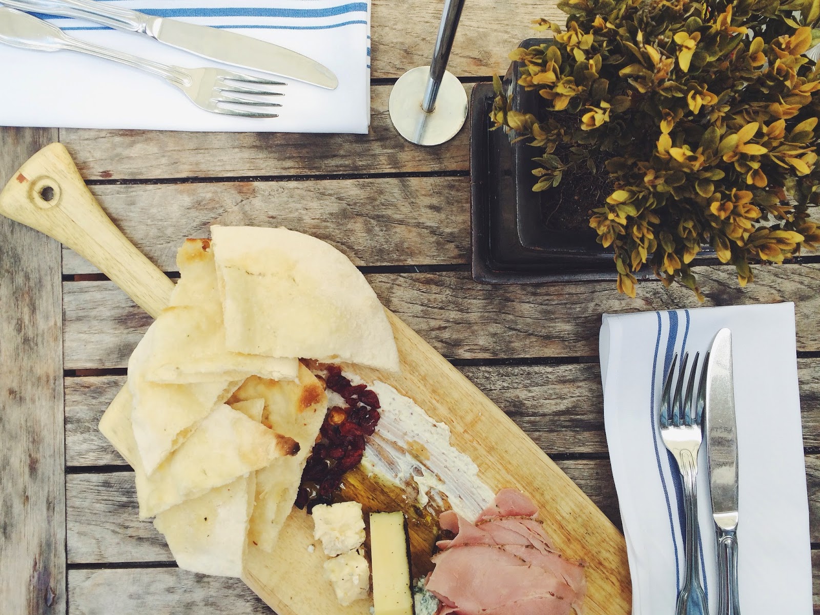 Tiny Boxwoods Houston, Tiny Boxwoods