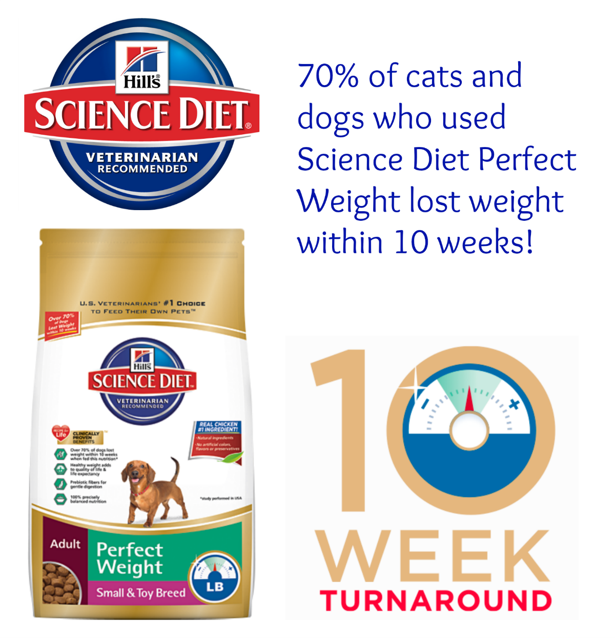 To Dog With Love Consistency The Key to PerfectWeight