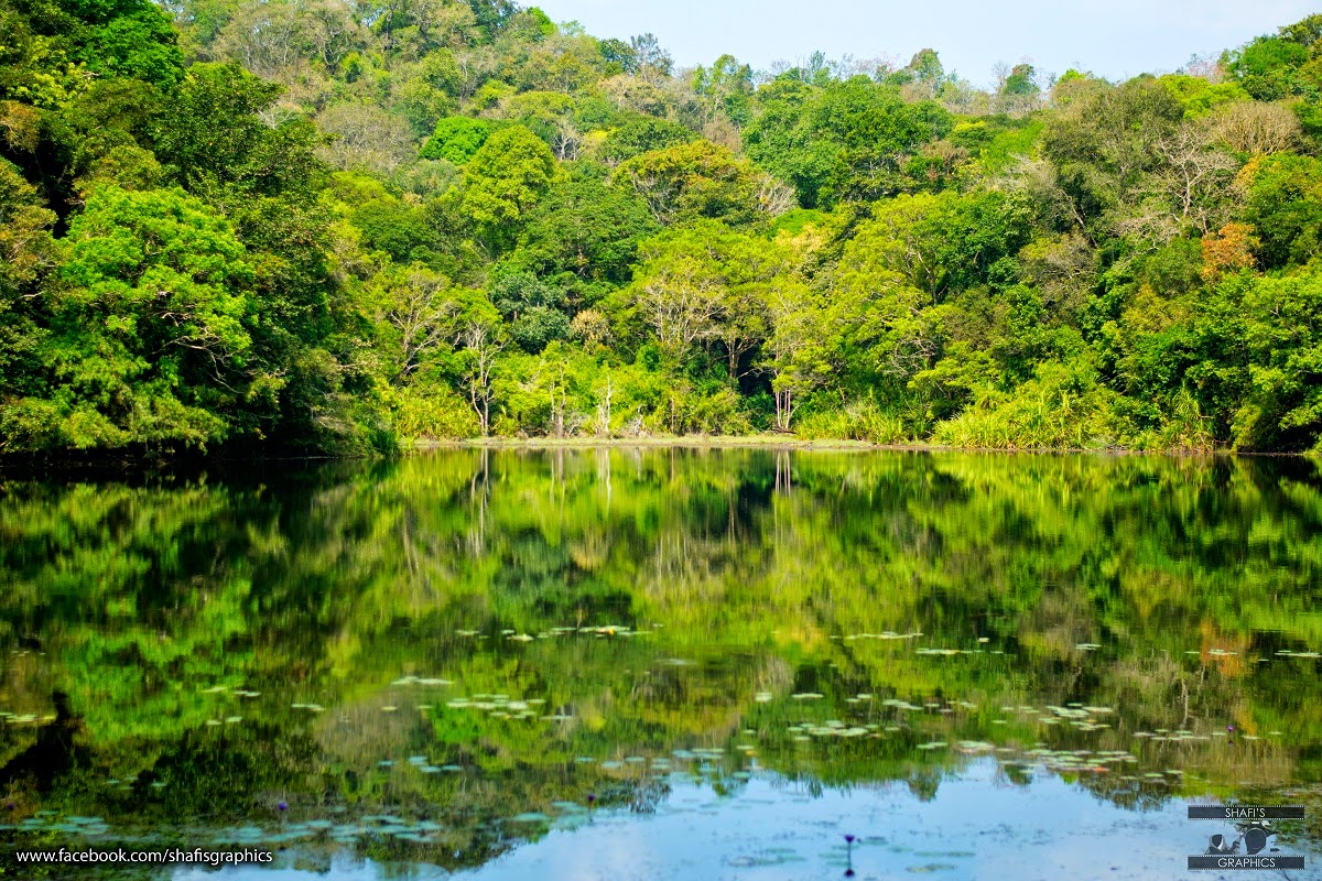pookode Lake pookode Lake