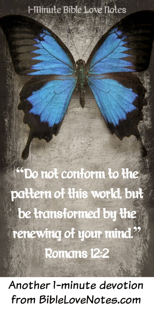 1Minute Bible Love Notes Transformers