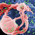 Científicos desarrollan técnica que desactiva el VIH en el organismo