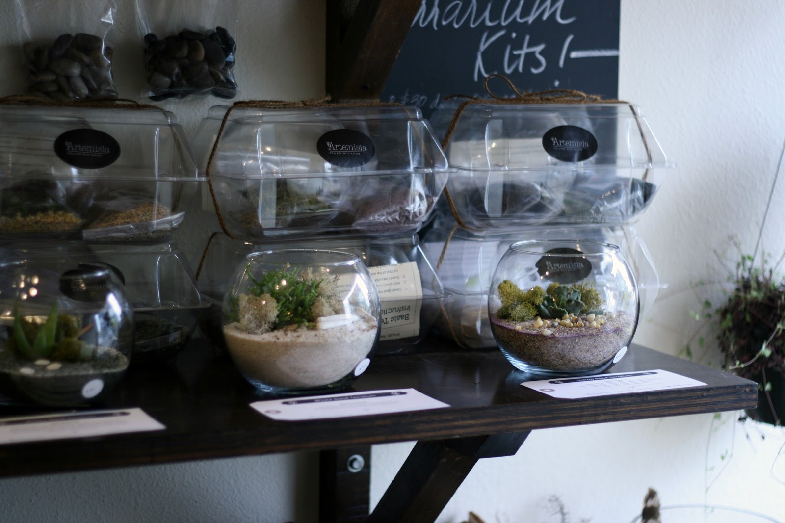 The greatest little terrarium shop and my first attempt... / Create / Enjoy