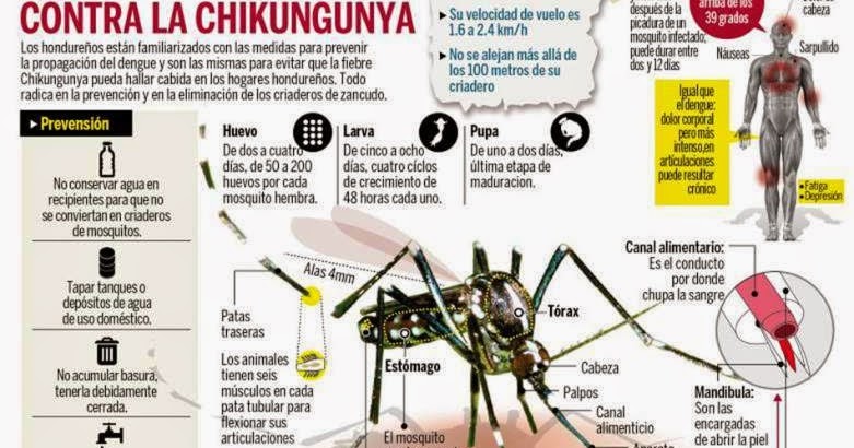 Los medios para el tratamiento del acné y el postacné