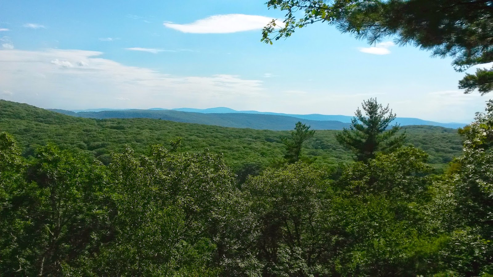 Berkshire Hiker Appalachian Trail, Fernside Rd. to Benedict Pond