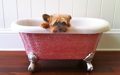 Swarovski-Diamond-Bathtub-yorkie-yorkshire%2Bterrier.jpg