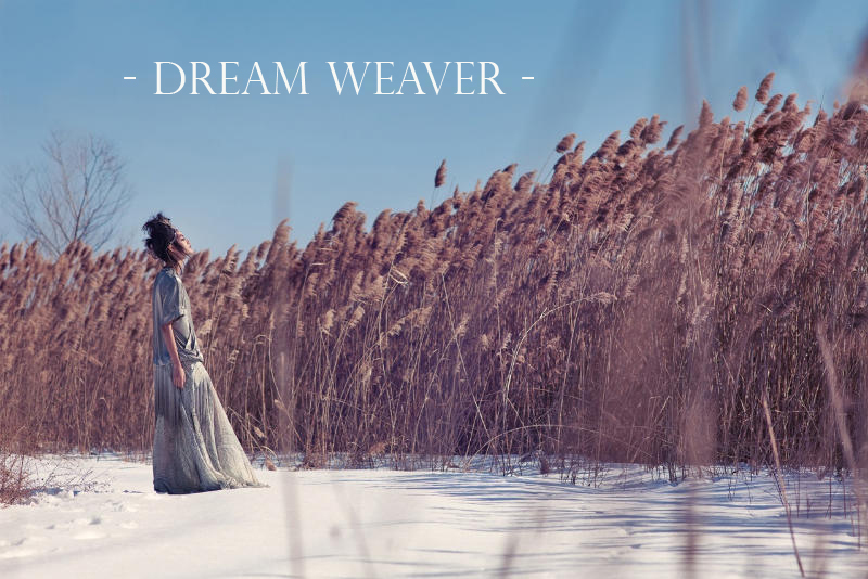 -Dream Weaver-