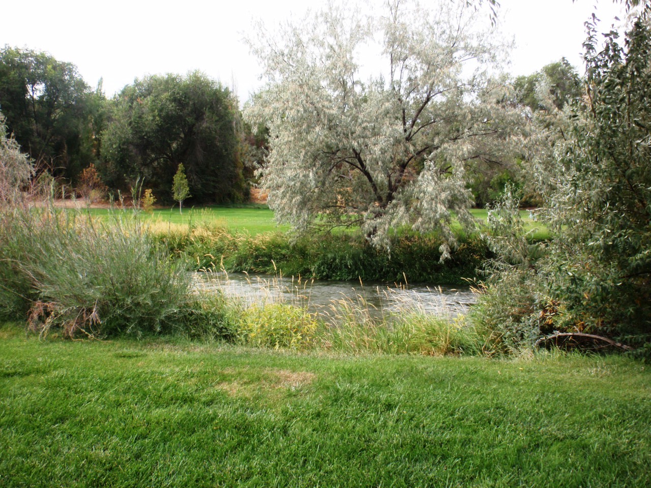 Me and My Dogand My RV Rock Creek RV Park, Twin Falls, ID