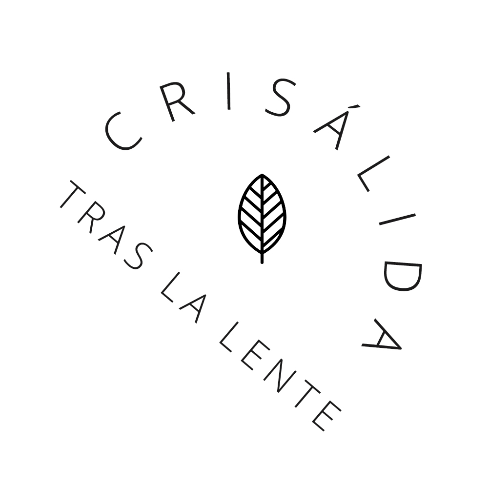 Crisálida tras la lente