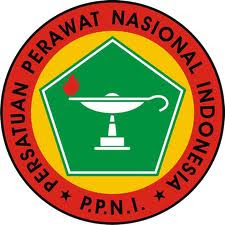 PPNI,Persatuan Perawat Nasional Indonesia ,sejarah PPNI,pengertian PPNI, Blog Keperawatan