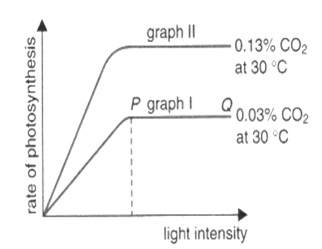 photosynthesis factors photosynthesis factors