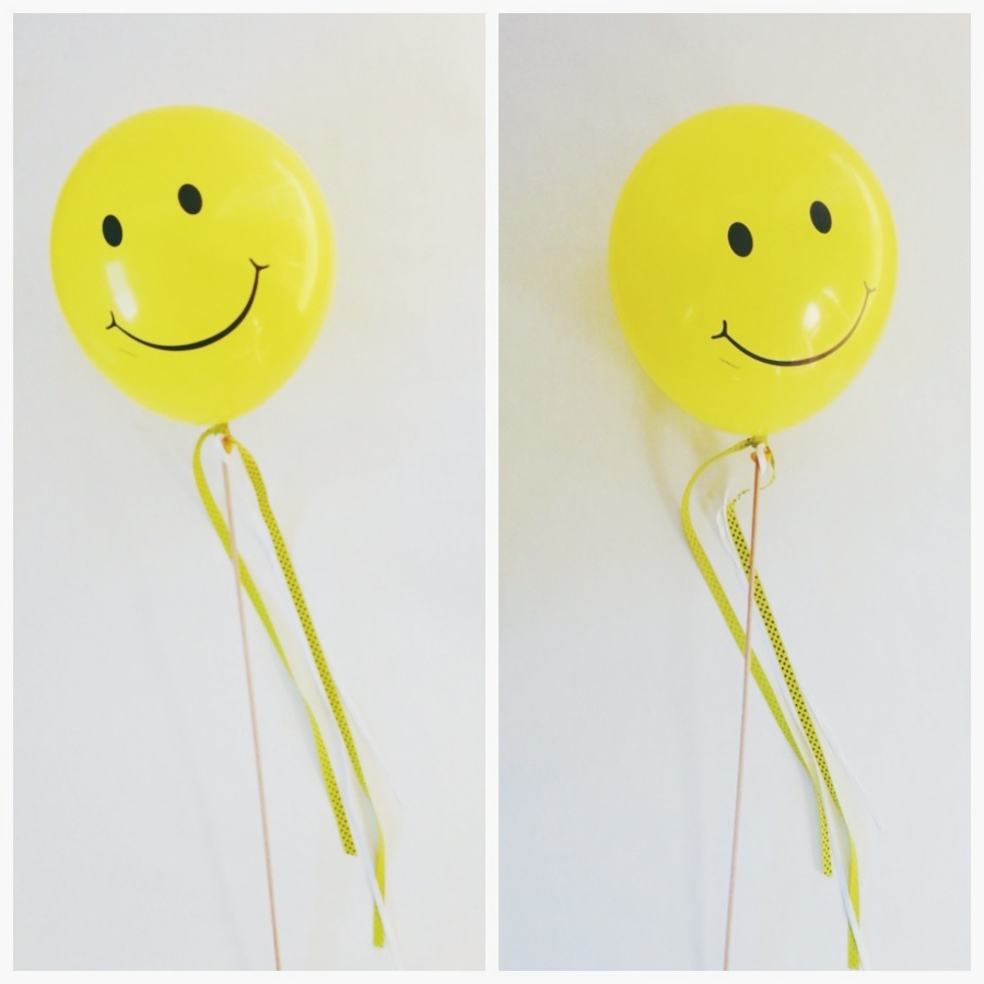 D.i.y Balloon on a stick Shakeshakee