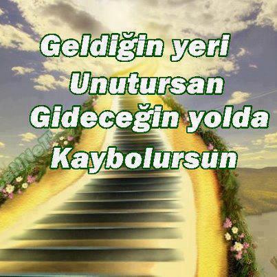 Ya Bâkî,Entel Bâkî: FOTOĞRAFLAR