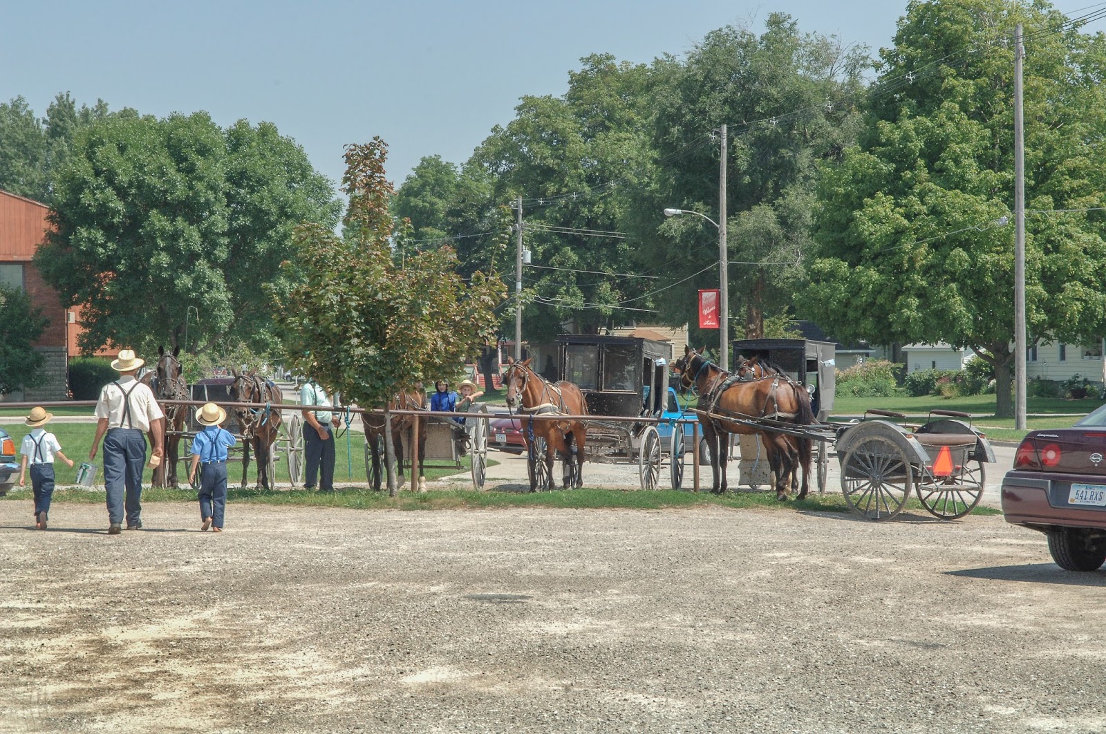 Bailey's Buddy Nostalgic Amish Life near Kalona, Iowa Photos by Bob Kellly
