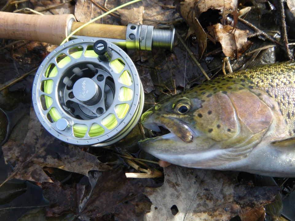 Tight Lined Tales of a Fly Fisherman: Fly Product: Review of Risen Fly's  Ichthus Reels