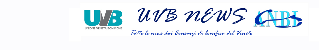 UVB NEWS