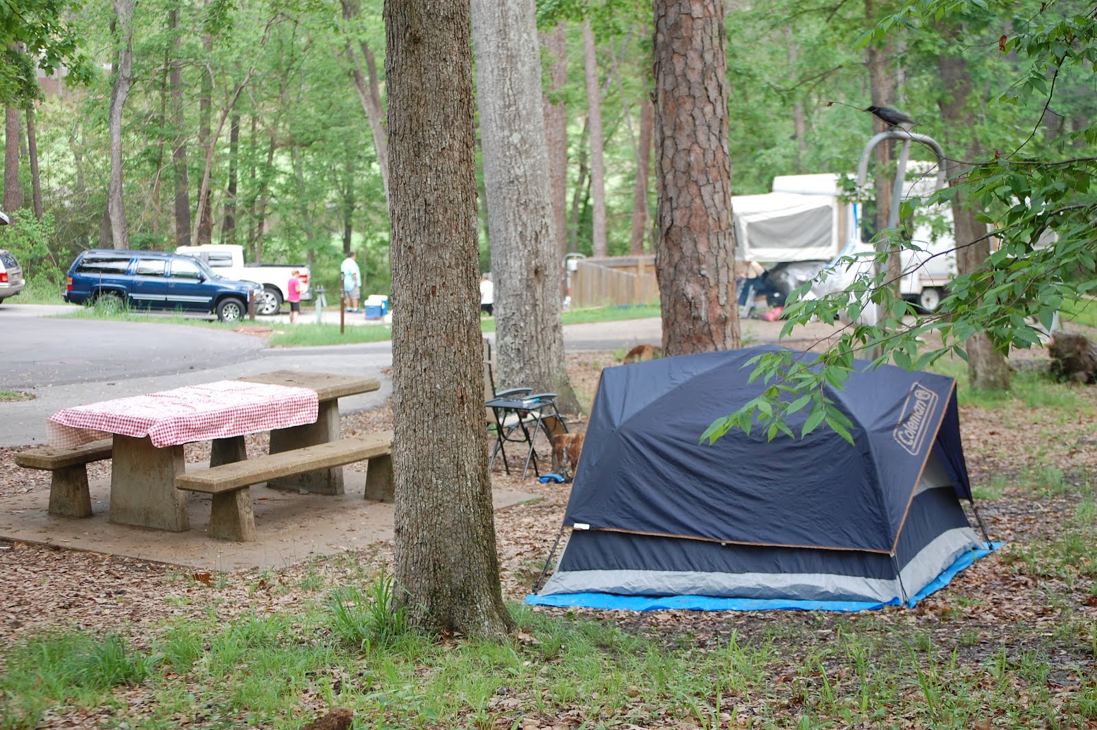 Jacob and Joshua Camping at Lake Raven in Huntsville, TX