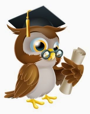 The Scholar Plan Owl
