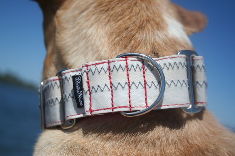 Sturdy Dog Collars Sturdy Dog Collars