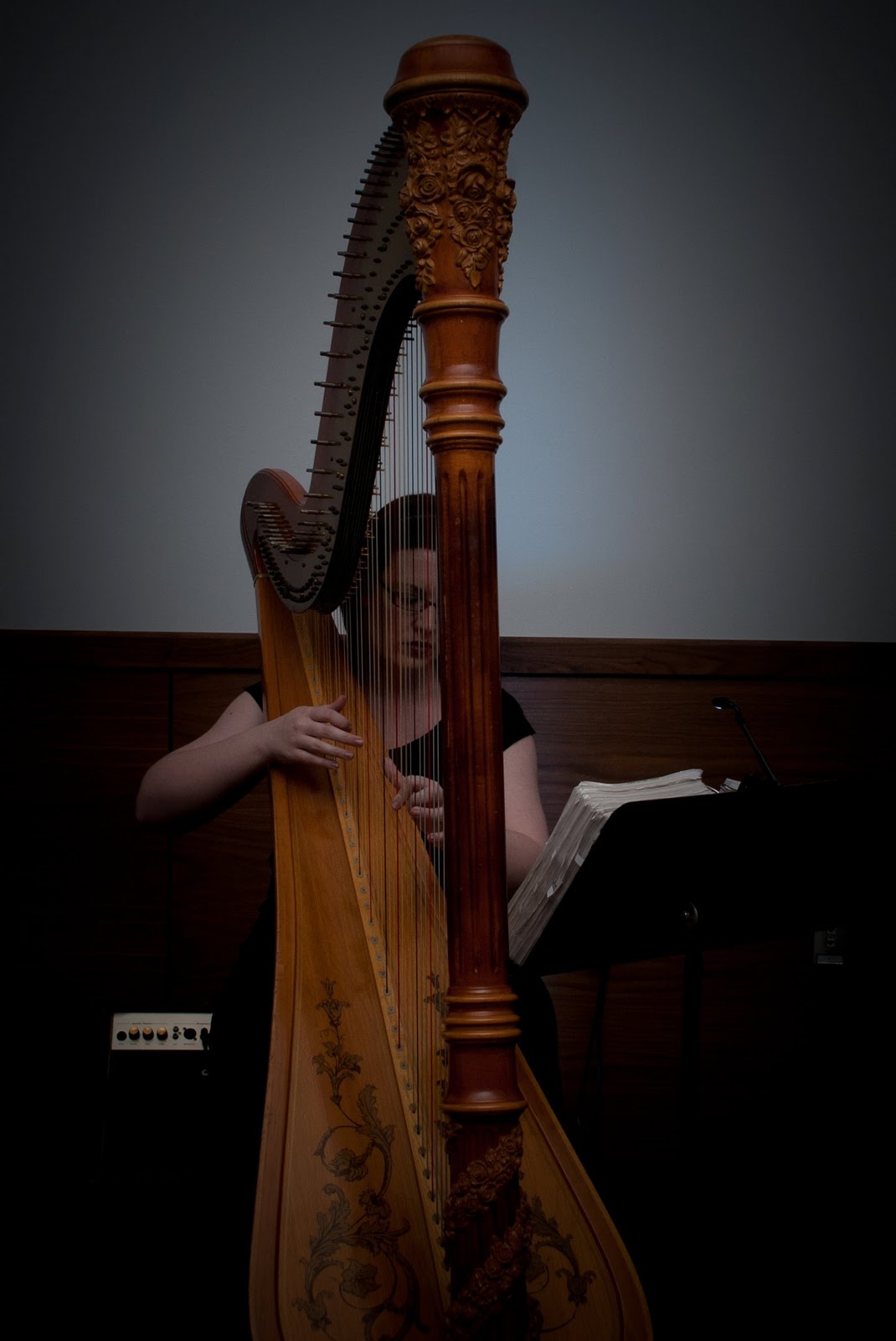 Springfield IL Wedding Music Villa Maria & State House Inn Wedding