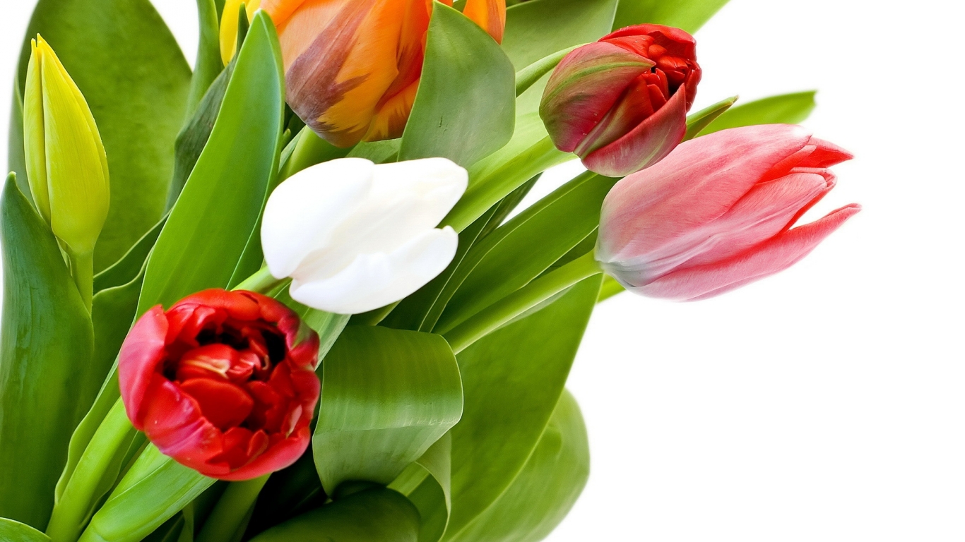 http://4.bp.blogspot.com/-vor3Lyc4-dI/UNCVjc0Yp_I/AAAAAAABEKw/PJwgk-HnJbU/s1600/bm-image-752708.jpeg