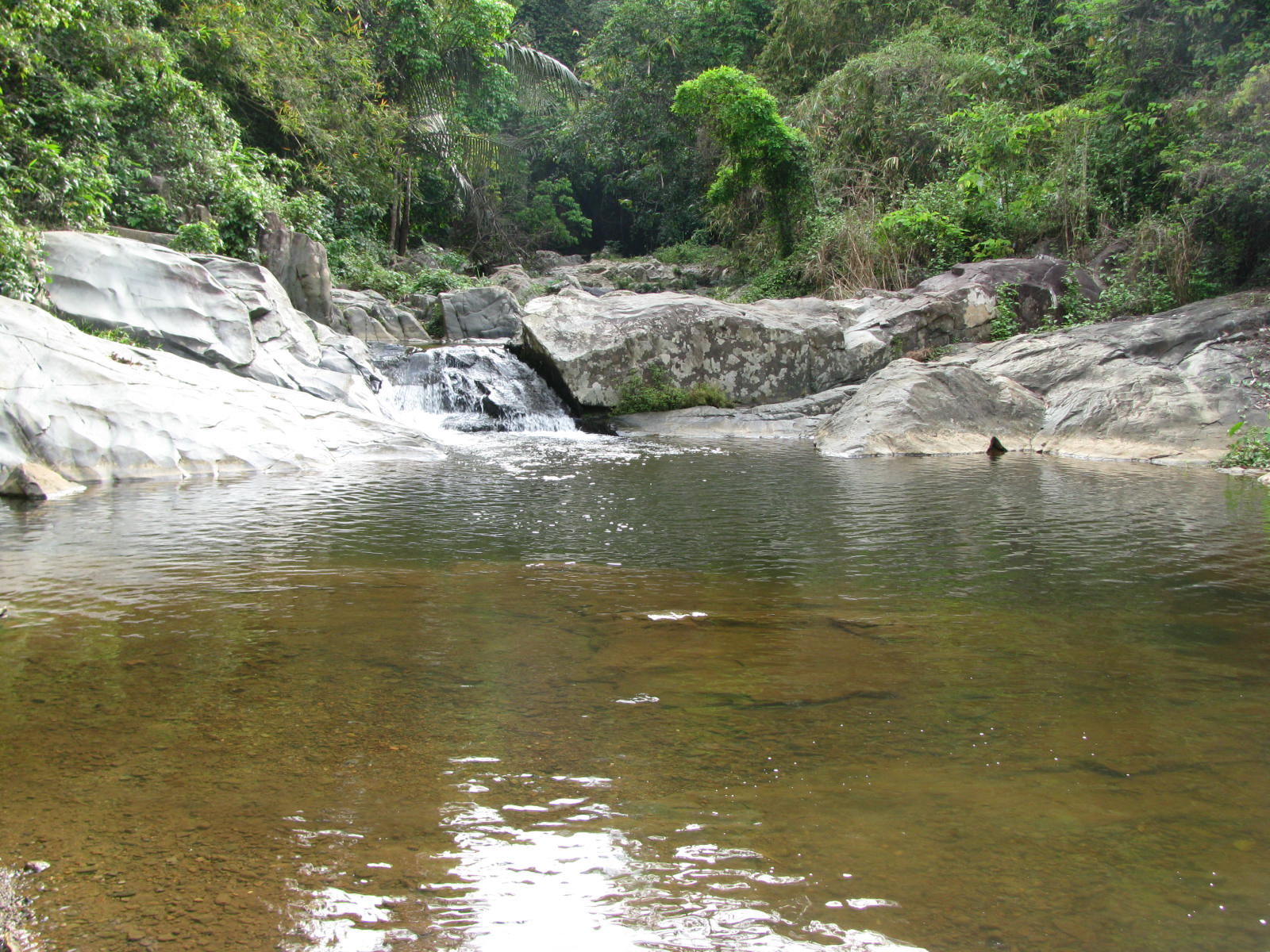 Sorry, Wife at the swimming hole protest Excellent and Wife at the swimming hole are not