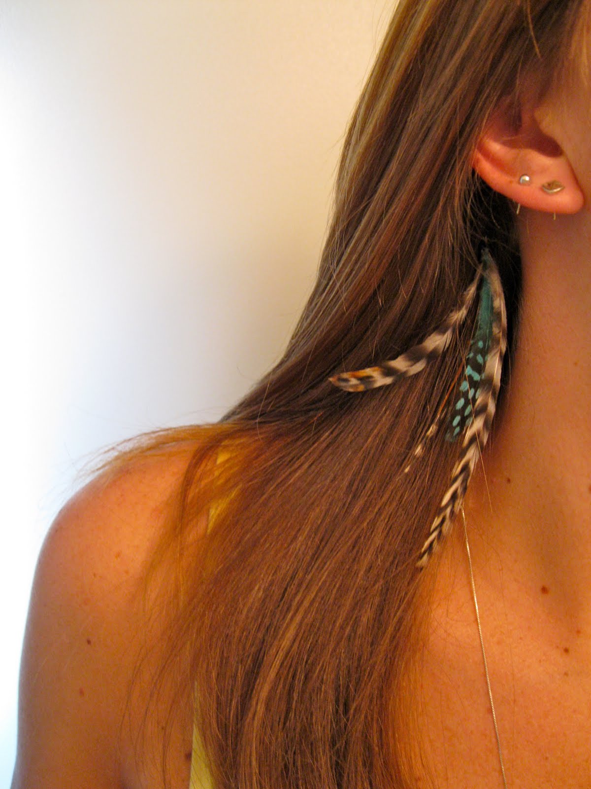 Art For All Do It Yourself Feather Extensions