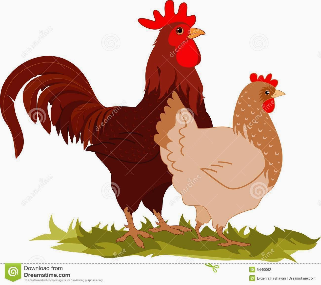 Arriba 101+ Foto Como Se Aparean Los Gallos Y Las Gallinas Lleno