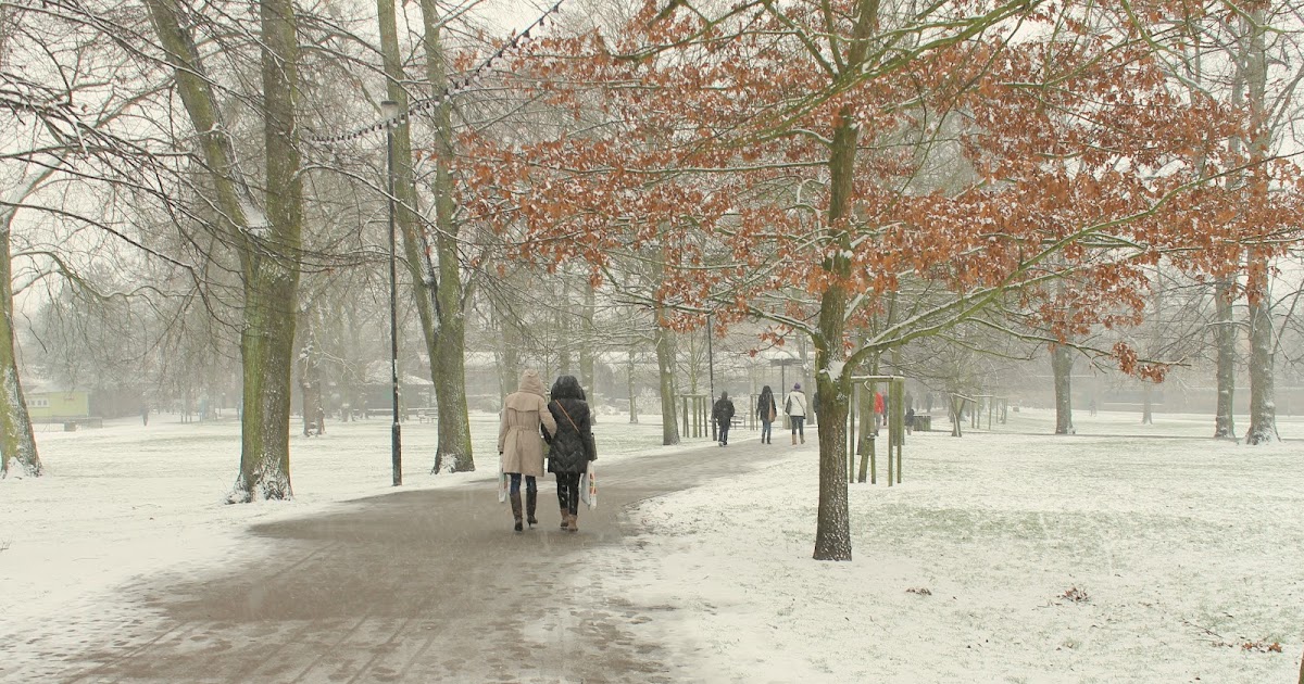 Arrows Sent Forth Exploring Cambridge in the Snow
