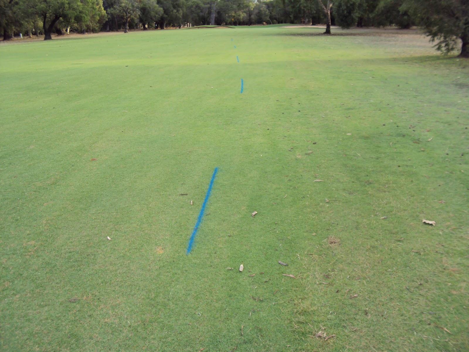 Fairway Definitions and Green Update