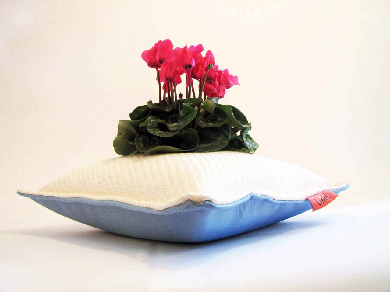 Studio Libel’s Pillow Pots decorates your home creatively Spicytec