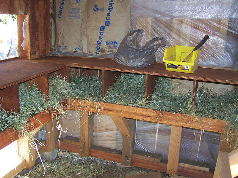 Inside Chicken House